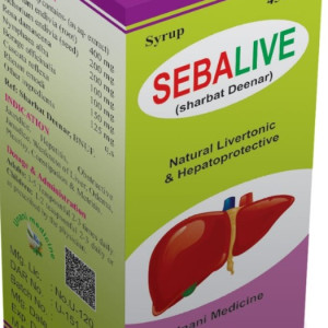 SEBALIVE